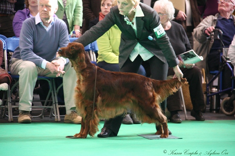 Crufts2011 764.jpg